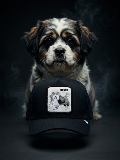 Gorra Bestie