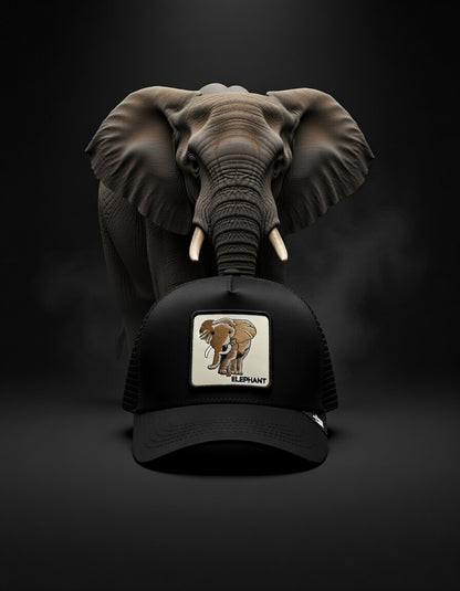 Gorra Elephant