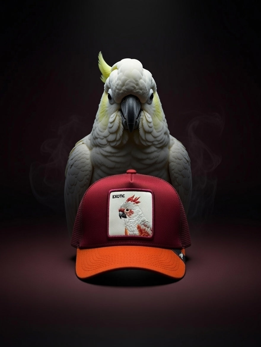 Gorra Exotic
