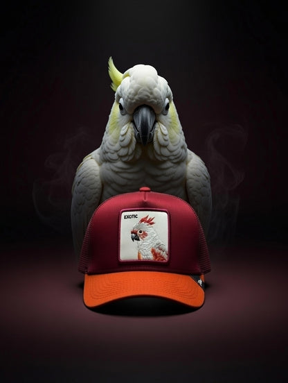 Gorra Exotic