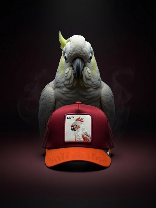 Gorra Exotic