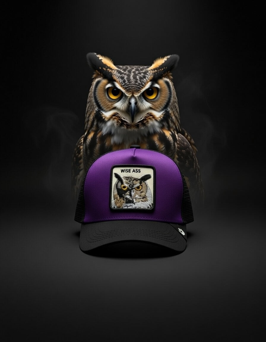Gorra Wise Ass Purple