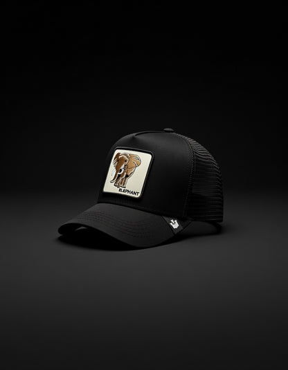 Gorra Elephant