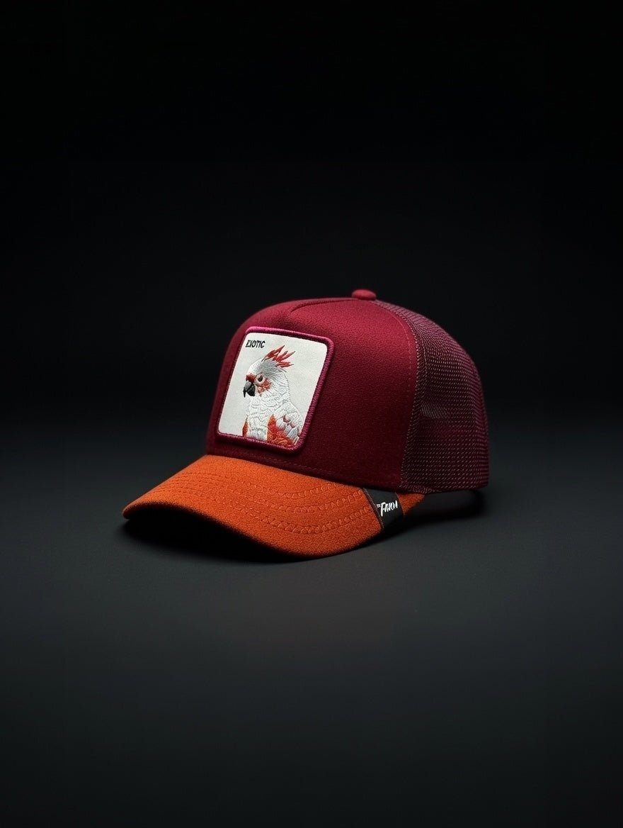 Gorra Exotic