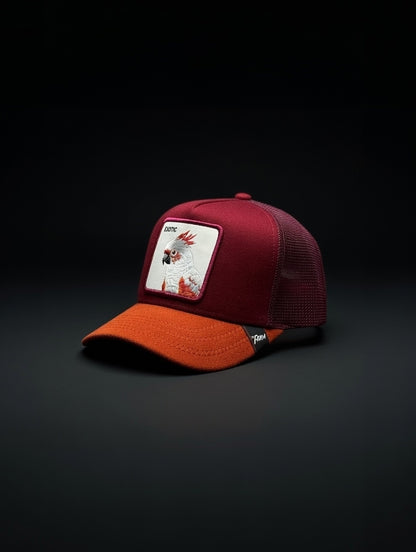 Gorra Exotic