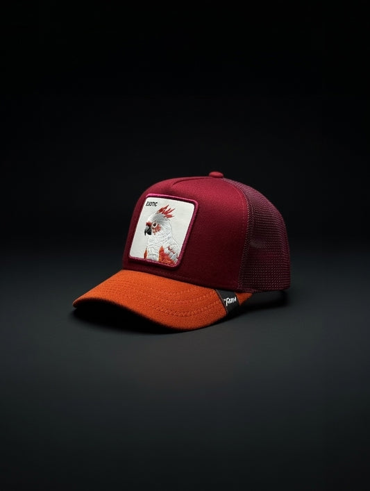 Gorra Exotic