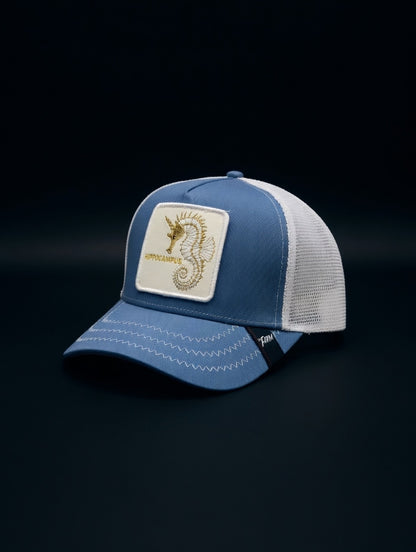 Gorra Hippocampus
