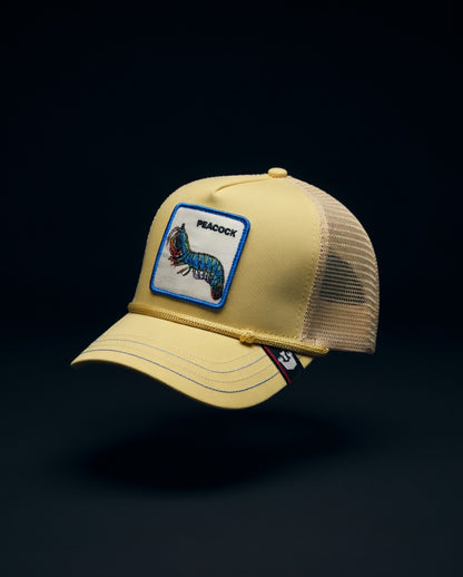 Gorra Peacock
