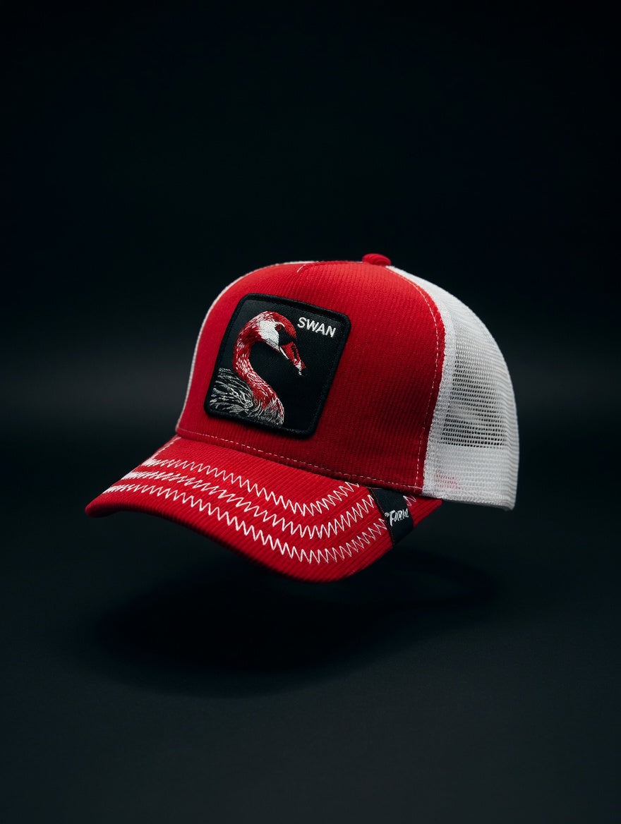 Gorra Swan