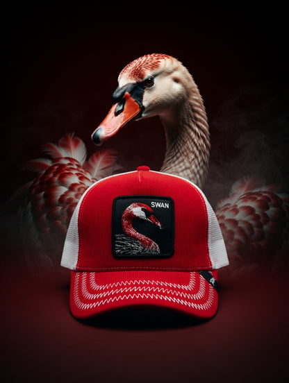 Gorra Swan