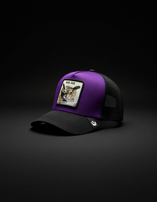 Gorra Wise Ass Purple