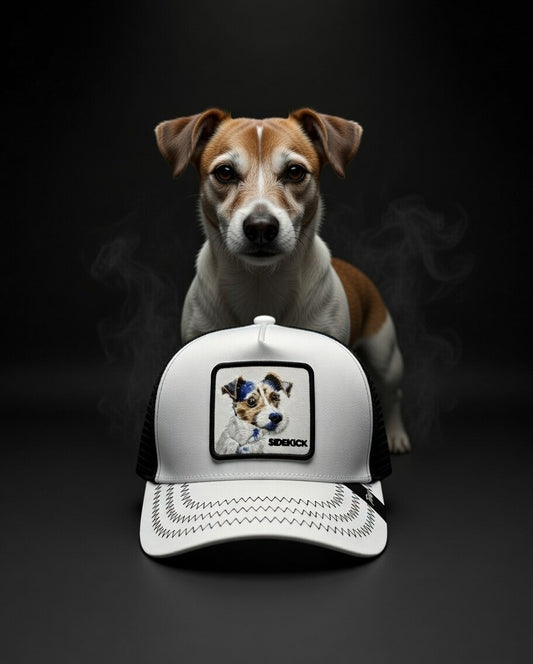 Gorra Sidekick Blanca